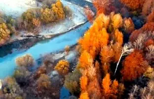 (ویدئو) پاییز رنگارنگ در استان البرز