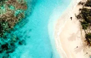 (ویدئو) ویدیویی پربیننده از شفافیت و زلالی آب در ارتفاعات سوئیس