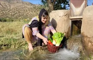 (ویدئو) پخت دیدنی شامی مرغ با گوجه توسط دختر مشهور کردستانی