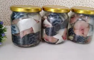 (ویدئو) چطور ماهی را بدون نیاز به یخچال برای یک سال تازه نگه داریم؟