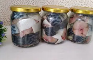 (ویدئو) چطور ماهی را بدون نیاز به یخچال برای یک سال تازه نگه داریم؟
