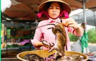 (ویدئو) تور غذاهای افراطی در دلتای مکونگ؛ روستایی های ویتنام چه غذاهایی می خورند؟