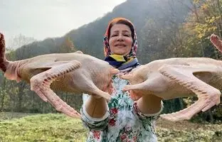 (ویدئو) غذای روستایی؛ طبخ یک غذای محلی با دو غاز توسط بانوی باسلیقه مازندرانی