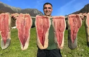 (ویدئو) غذای روستایی؛ مهارت خیره کننده زوج مشهور آذربایجانی در پخت 5 زبان گاو