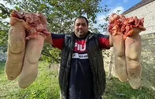 (ویدئو) پخت 4 زبان غول پیکر گاو به سبک یک آشپز مشهور روستایی روسی