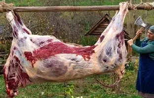 (ویدئو) پخت تماشایی گاو 115 کیلوگرمی توسط یک بانوی خوش سلیقه آذربایجانی