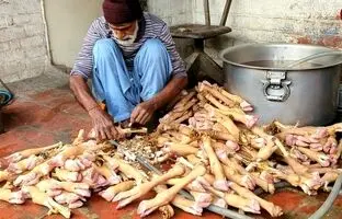 (ویدئو) غذای خیابانی؛ طبخ 50 کیلوگرم پاچه گوسفند توسط آشپز مشهور پاکستانی