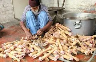 (ویدئو) غذای خیابانی؛ طبخ 50 کیلوگرم پاچه گوسفند توسط آشپز مشهور پاکستانی