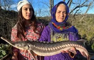 (ویدئو) پخت تماشایی ماهی خاویاری توسط مادر و دختران روستایی آستارایی