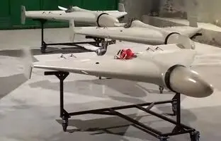 (ویدئو) آشنایی با خانواده پهپاد ایرانی شاهد