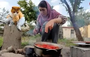 (ویدئو) پخت یک غذای متفاوت با گوشت و سیب زمینی به سبک بانوی روستایی الموتی