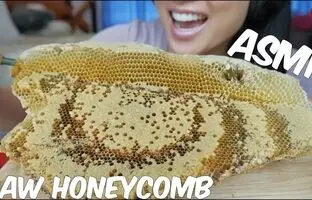 (ویدئو) خوردن یک کیلوگرم عسل وحشی توسط دختر جوان و مشهور کانادایی