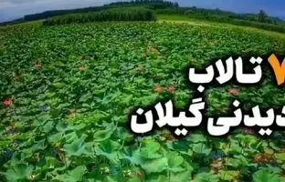 (ویدئو) ۷ تالاب دیدنی استان گیلان