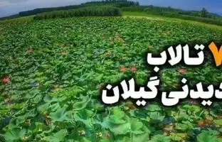 (ویدئو) ۷ تالاب دیدنی استان گیلان