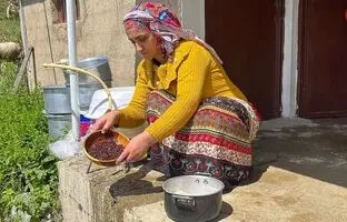 (ویدئو) پخت یک غذای محلی با گوشت چرخ کرده به روش بانوی روستایی مازندرانی