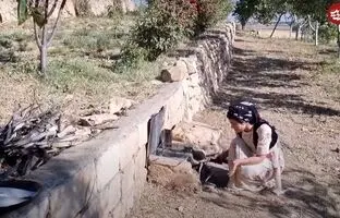 (ویدئو) پخت ماهی پلو به روش تماشایی یک بانوی خوش سلیقه روستایی کردستانی