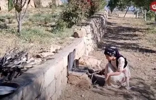 (ویدئو) پخت ماهی پلو به روش تماشایی یک بانوی خوش سلیقه روستایی کردستانی