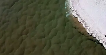 کشف جهان ناشناخته ماقبل تاریخ در جایی دور از انتظار