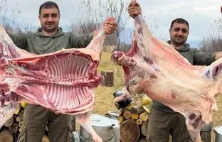 (ویدئو) کباب کردن متفاوت گوسفند 19 کیلوگرمی به شیوه آشپز روستایی ترکیه ای