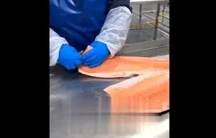 (ویدئو) دستگاه ماهی پاک کن اتوماتیک جالب