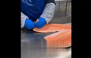 (ویدئو) دستگاه ماهی پاک کن اتوماتیک جالب