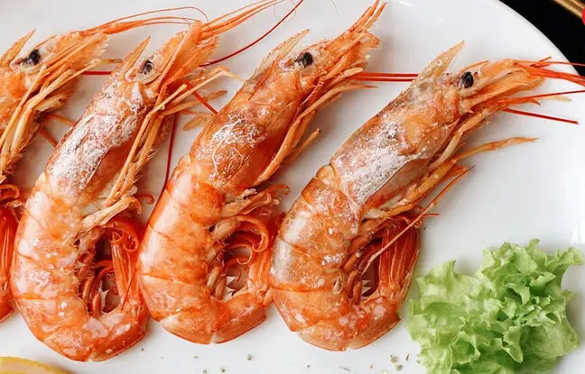 مهم ترین خواص و مضرات میگو برای بدن