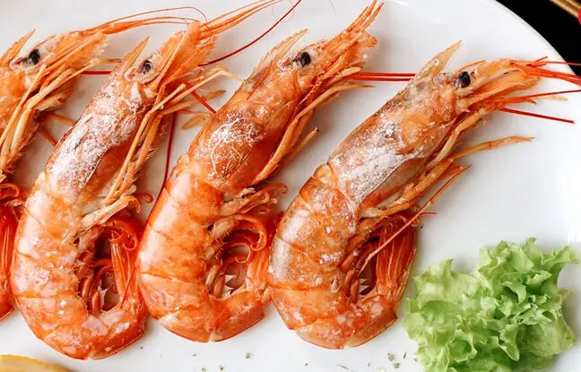 مهم ترین خواص و مضرات میگو برای بدن