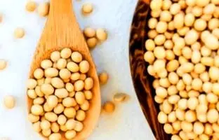 روش نگهداری صحیح سویا که همه خانم ها باید بدونن