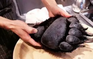 (ویدئو) پخت پنجه خرس سیاه توسط یک آشپز مشهور ژاپنی؛ یک غذای گران و کمیاب