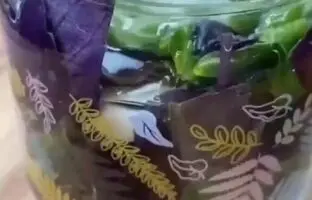 (ویدئو) روشی برای تازه نگه داشتن سبزی ریحان
