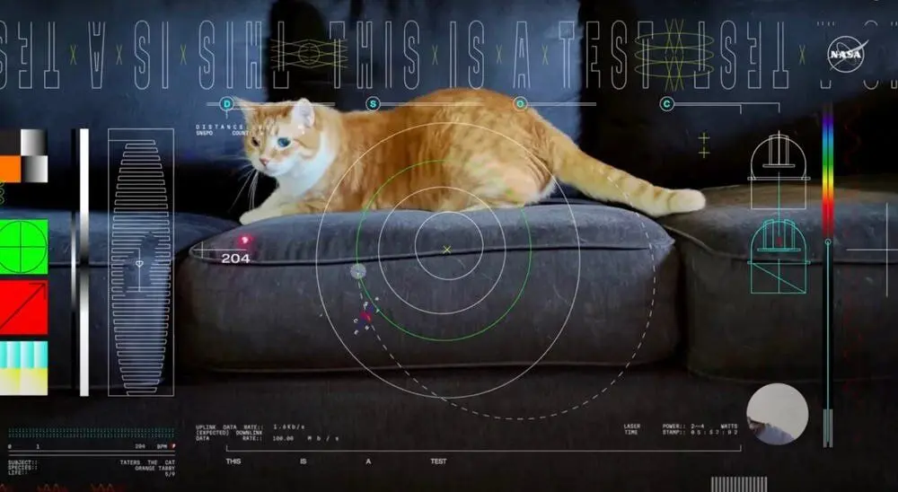 فیلم این موجود از فضا به زمین رسید!
