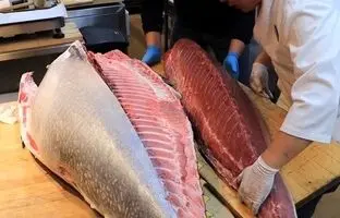 (ویدئو) سرو تماشایی ساشیمی با گران‌ترین ماهی تن جهان توسط سرآشپز مشهور ژاپنی