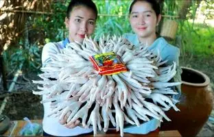 (ویدئو) پخت 5 کیلوگرم پای مرغ به سبک و سیاق بانوی روستایی مشهور تایلندی