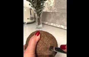 (ویدئو) یک روش جالب برای تکه کردن نارگیل