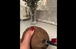 (ویدئو) یک روش جالب برای تکه کردن نارگیل