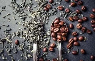 چای یا قهوه؛ کدام‌یک کافئین بیشتری دارد؟