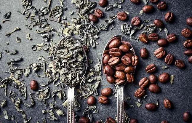 چای یا قهوه؛ کدام‌یک کافئین بیشتری دارد؟