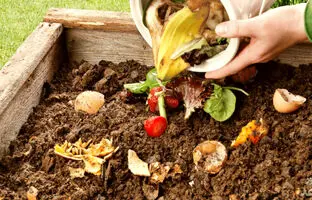 با زباله‌های خانگی کمپوست بسازید