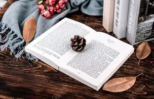 4 کتاب زبان اصلی جذاب برای کسانی که نمره آیلتس بالا می‌خواهند