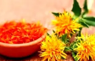 آشنایی و معرفی گیاه “گلرنگ” و نحوه پرورش آن