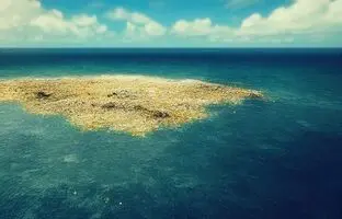 (تصویر) لکه‌ای به بزرگی ۳برابر کشور فرانسه در اقیانوس آرام