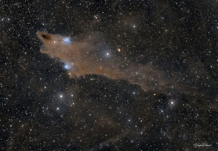 هیچ دریایی آنقدر بزرگ نیست که این کوسه را در خود جا دهد