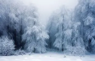 3 شعر عاشقانه زمستانی مخصوص روزهای برفی