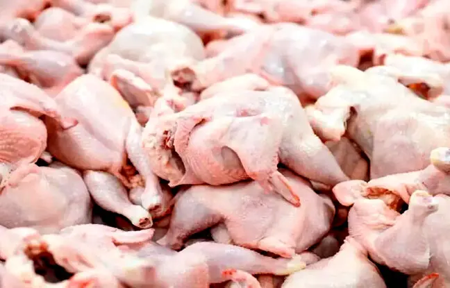 قیمت گوشت مرغ، امروز دوشنبه ۱۶ بهمن ۱۴۰۲