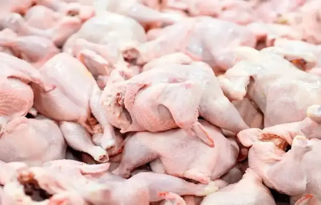 قیمت گوشت مرغ، امروز دوشنبه ۱۶ بهمن ۱۴۰۲