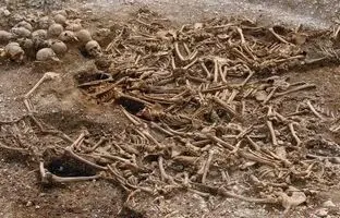 یک کشف شوکه‌کننده: آیا وایکینگ‌های بی‌سر همان دانمارکی‌های قتل‌عام شده بودند؟