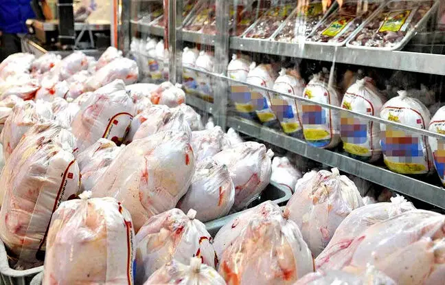 قیمت گوشت مرغ، امروز شنبه ۲۱ بهمن ۱۴۰۲