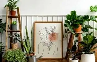 گیاهان آپارتمانی که به هیچ وجه تو خونه خراب نمیشن