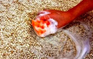 فرمول ساخت 6 نوع شامپو فرش خانگی عالی