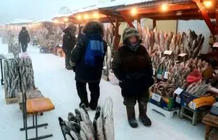 (ویدئو) سردترین بازار گوشت و ماهی جهان؛ همه چیز اینجا یخ زده است!